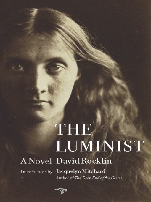 Title details for The Luminist by David Rocklin - Available